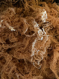 Wild Crafted Sea Moss (NOT IN GEL FORM) 2.oz