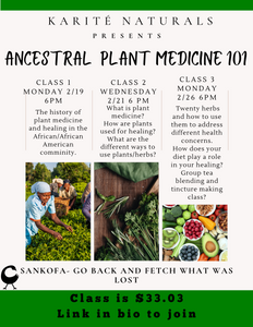 ANCESTRAL PLANT MEDICINE CLASS 101